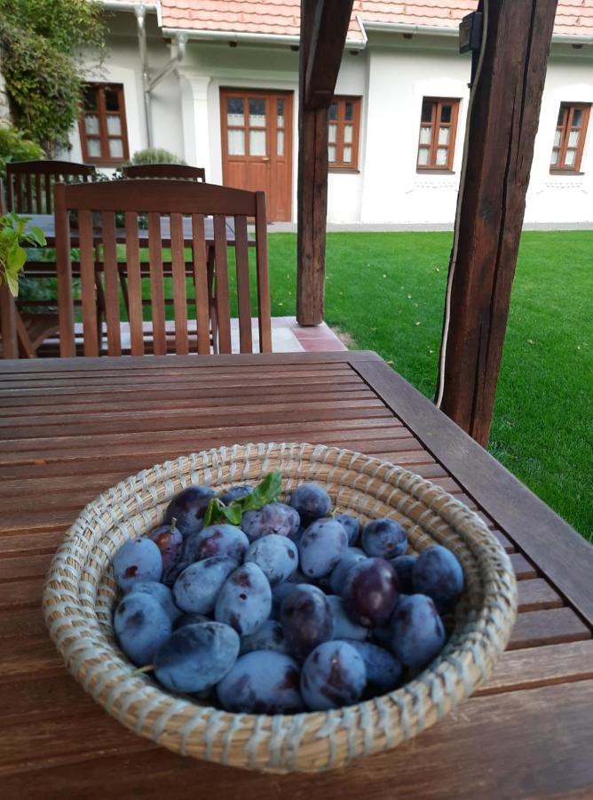 Aracsi Vendeghaz Hotel บาลาตอนฟือเรด ภายนอก รูปภาพ