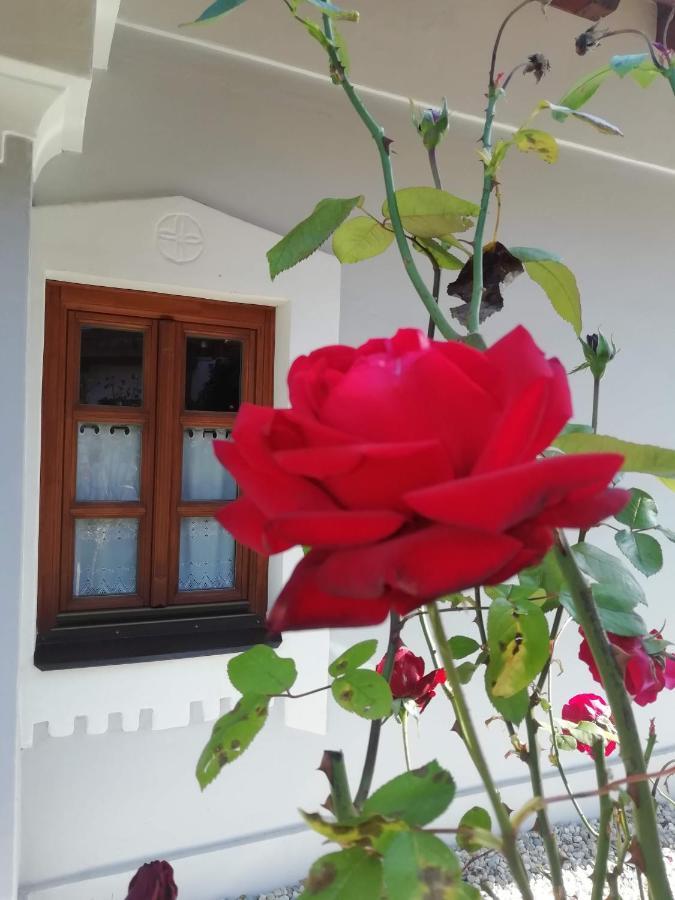 Aracsi Vendeghaz Hotel บาลาตอนฟือเรด ภายนอก รูปภาพ