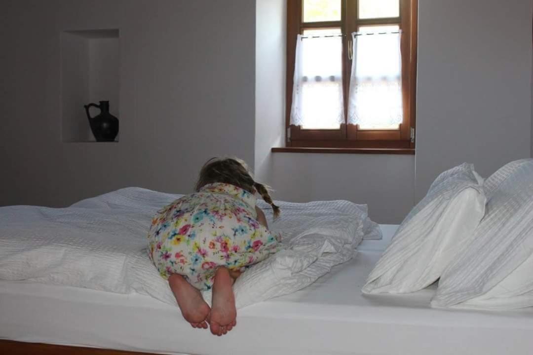 Aracsi Vendeghaz Hotel บาลาตอนฟือเรด ภายนอก รูปภาพ